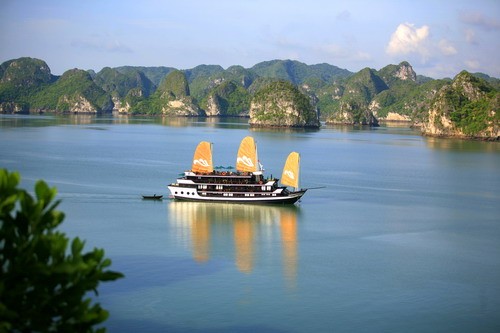 Paradise cruise Halong bay