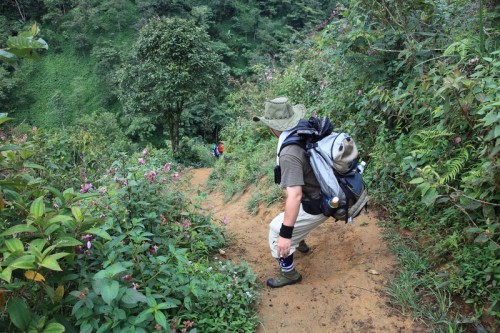 Fansipan mountain trekking