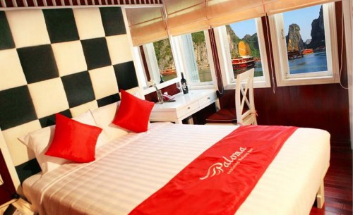Suite Paloma cruise