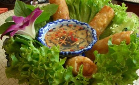 Vietnam sping roll